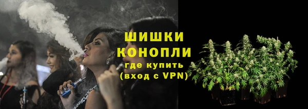 гидра Арсеньев